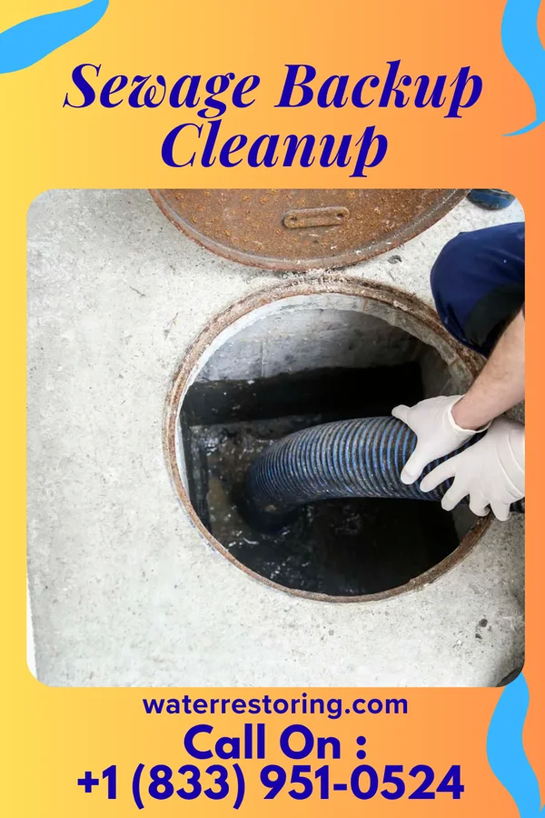Sewage Backup Cleanup in Judyville, IN
